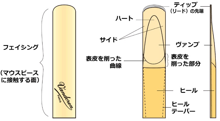 クラリネット リード徹底解説 ららぽーと富士見店 店舗情報 島村楽器