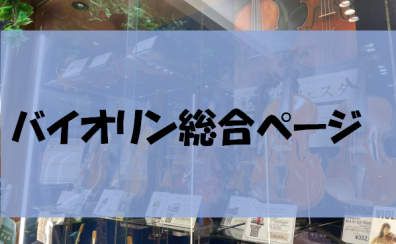 バイオリン選びはららぽーと富士見店へ！【バイオリン総合ページ】