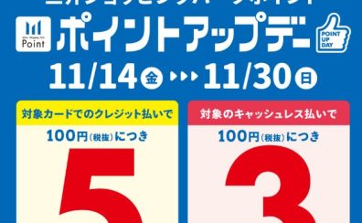 11/14(金)~11/30(日) 三井ショッピングパークポイント ポイントアップデー開催!