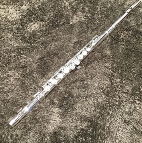 AltusA1107E