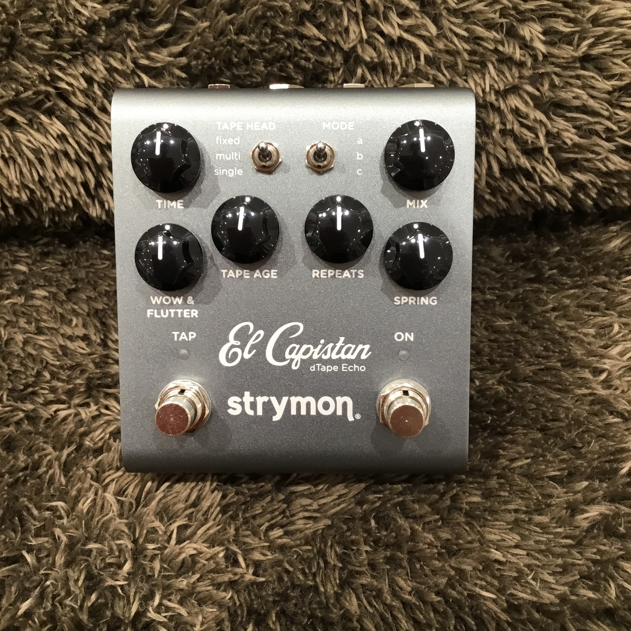 strymonEl Capisitan Echo V2