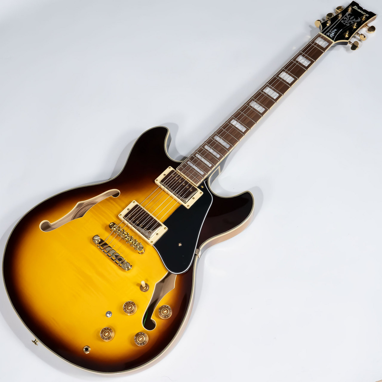 IbanezJSM10EM TTB
