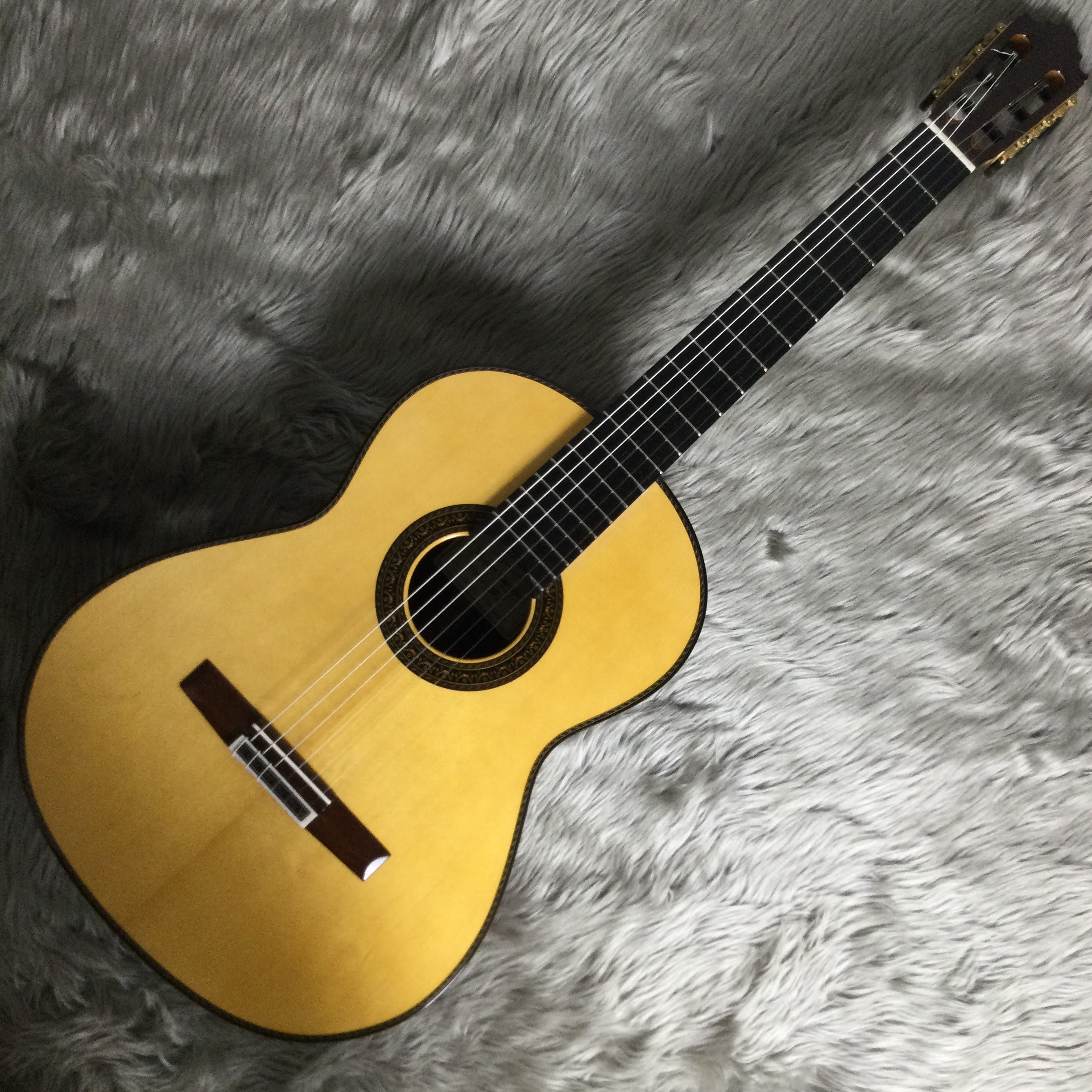 Vicente CarrilloGabriala II/S