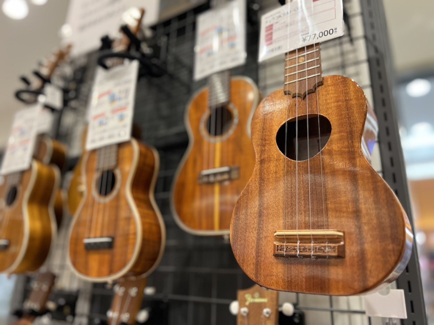 CONTENTS人気ブランド商品も集結！　夏のウクレレフェア開催！展示商品お問合せ先人気ブランド商品も集結！　夏のウクレレフェア開催！ 夏を連想させる楽器「ウクレレ」当店でも人気楽器の1つであるウクレレのフェアを7月17日(金)～7月26日(日)まで開催致します！ カマカやコアロハといった人気ブラン [&hellip;]