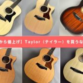 【7月から値上げ】Taylor（テイラー）を買うなら今