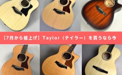 【7月から値上げ】Taylor（テイラー）を買うなら今