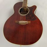 【中古品】Takamine DMP551C WR