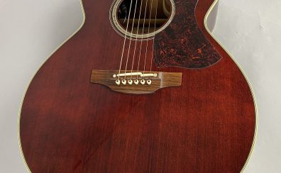 【中古品】Takamine DMP551C WR