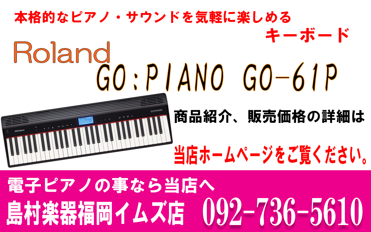 Roland GO:PIANO GO-61P エントリー・キーボード ゴーピアノ【ローランド】