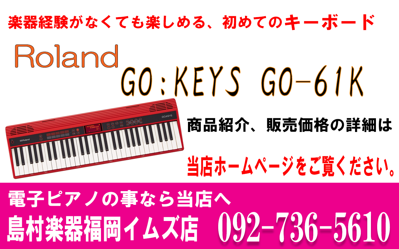 Roland/GO:KEYS エントリー・キーボード (GO-61K ...