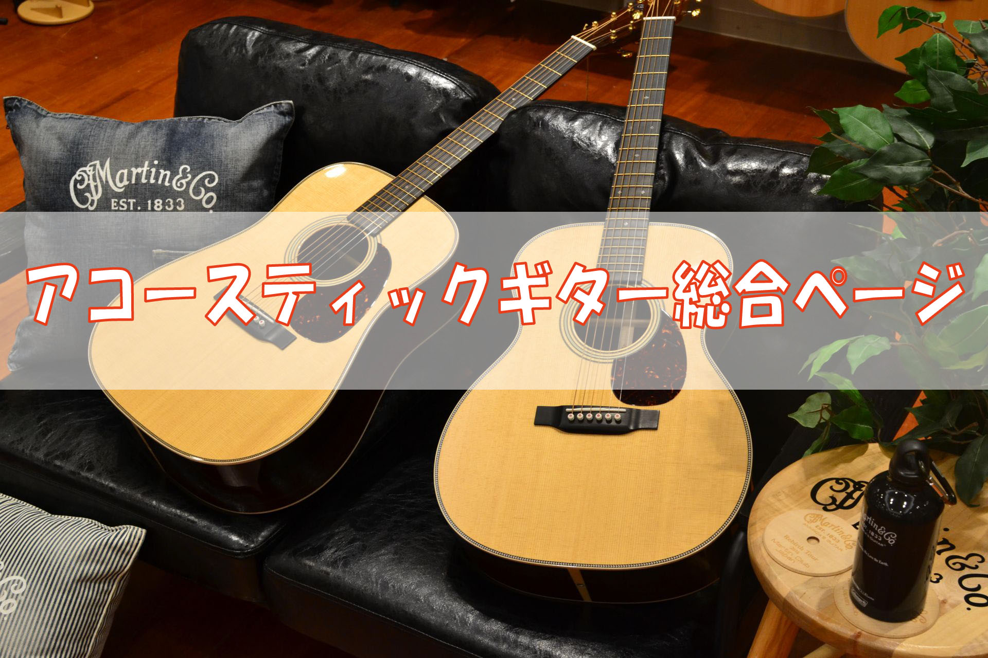【アコースティックギター総合ページ】福岡でお探しの方は、島村楽器 福岡イムズ店へ