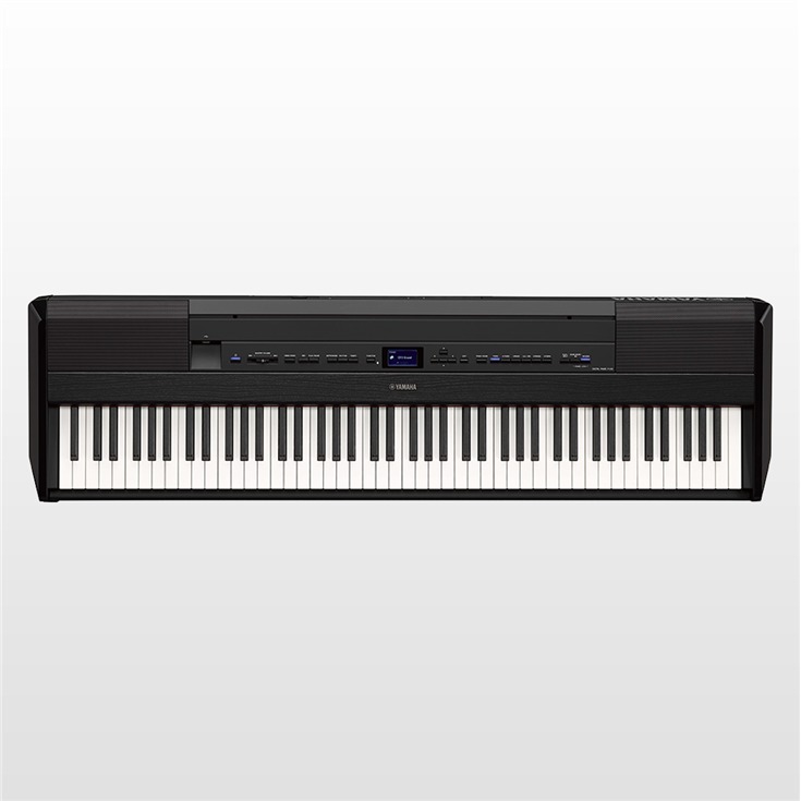 [https://www.shimamura.co.jp/shop/fukuoka/piano-keyboard/20171101/678:title=] **商品紹介動画 **商品紹介 さまざまな舞台で活躍するヤマハ「CFX」と、ベーゼンドルファー「インペリアル」の世界に誇る2種類のコンサートグラ […]