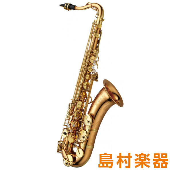 |*ブランド|*商品型名|*販売価格(税込)| |YANAGISAWA|T-WO20|[!￥561,000!]| [!!華やかさと豊かさに満ちた「色」を感じさせる音を表現するブロンズブラス。〈ヘヴィータイプ〉!!] しっかりとした音を、響きを損なうことなくさらに重厚感を増したヘビータイプのサックスで […]