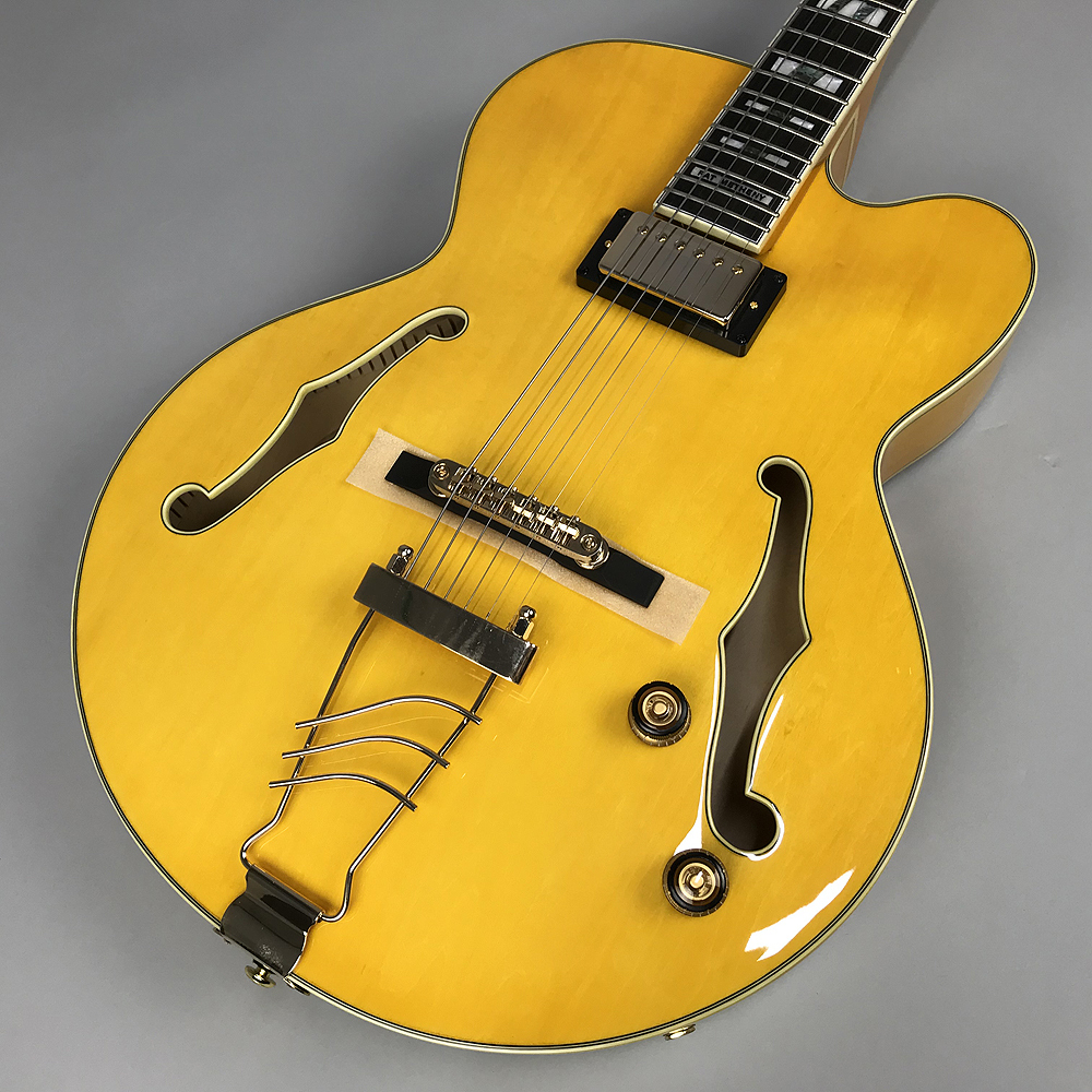 アイバニーズパット メセニーモデル Ibanez Pm2 フル ホロウ ボディギター 福岡イムズ店 店舗情報 島村楽器 アイバニーズパット メセニーモデル Ibanez Pm2 フル ホロウ ボディギター 福岡イムズ店 店舗情報 島村楽器