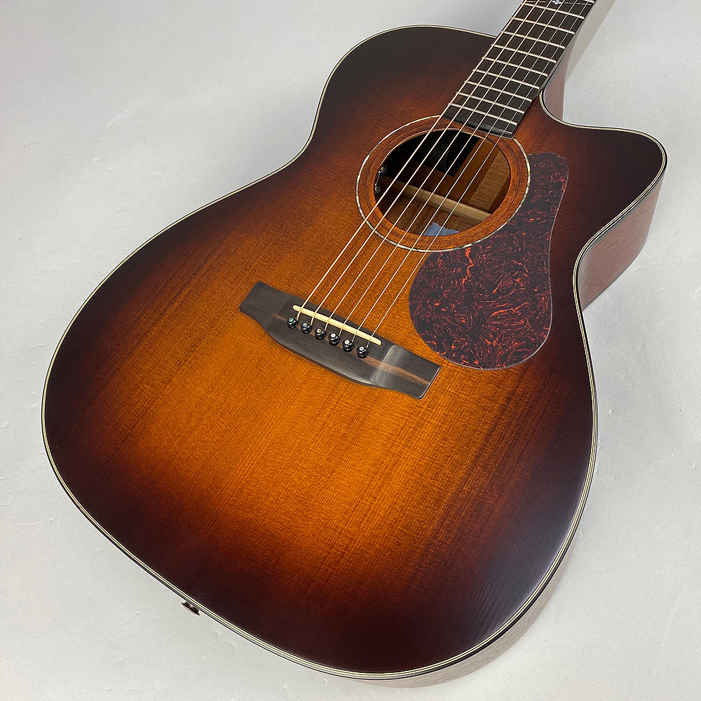 ヤイリ ギターカタログ ヴィンテージ 激レア 74129.jpg