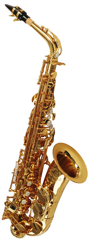 Cannonball A5-L アルトサックス BIG BELL STONE SERIES ゴールドラッカー 【キャノンボール A5L】