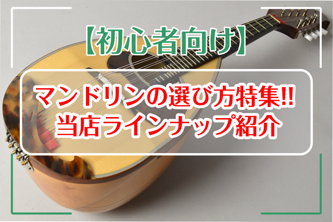 休日限定 オプティマ マンドリン セット弦 赤ラベル ecufilmfestival.com