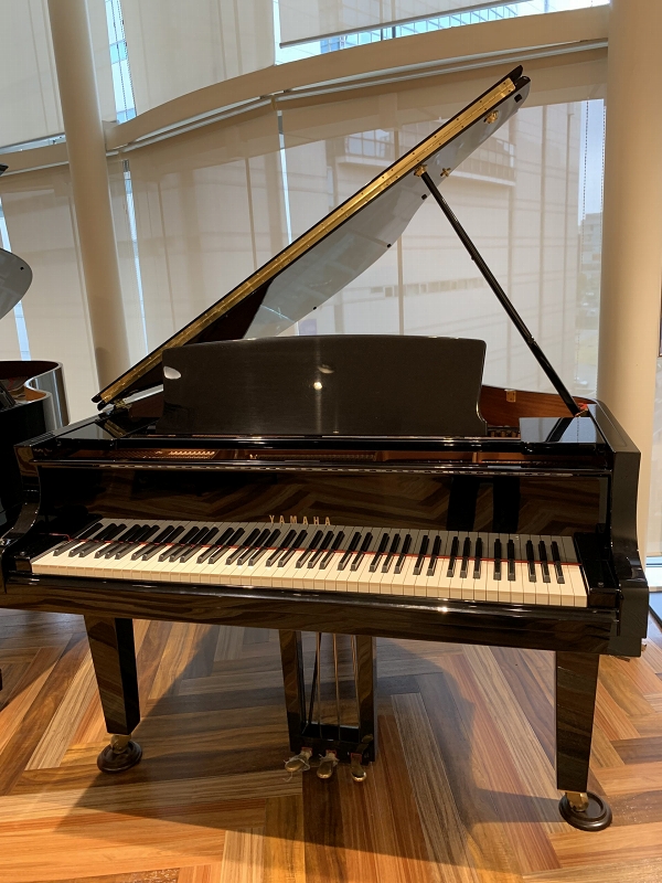 YAMAHAC2X(2013年製)