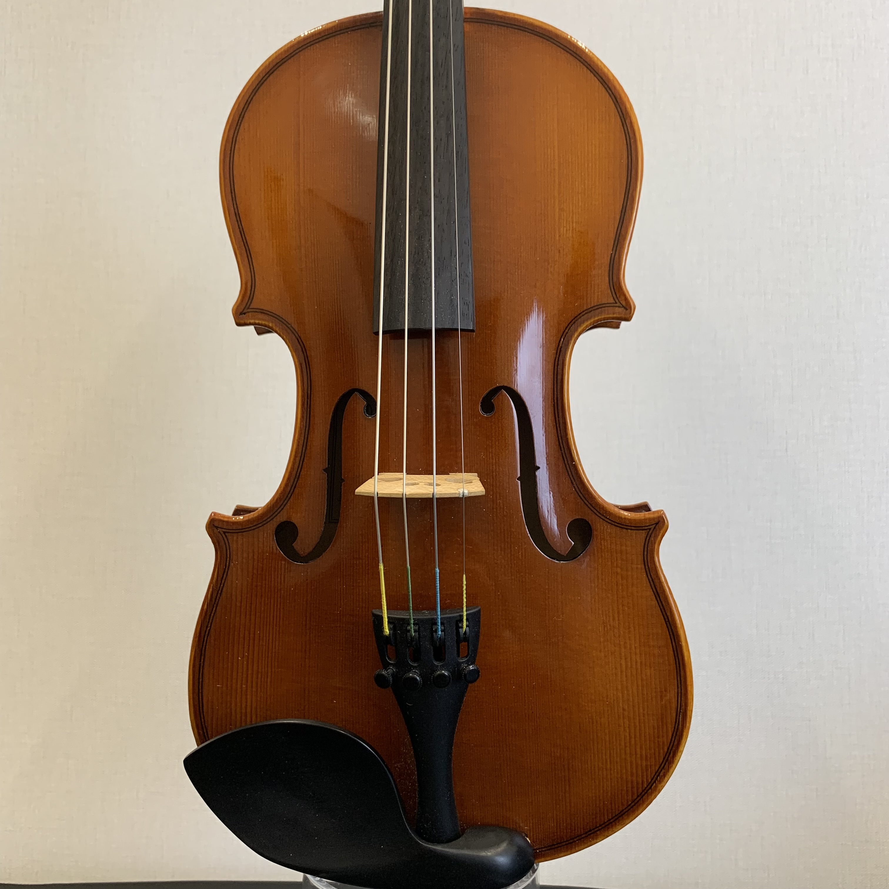 EASTMAN(イーストマン)SVL80セット 1/4サイズ