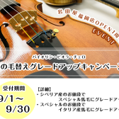 【弦楽器】毛替えグレードアップキャンペーン 9/1～9/30