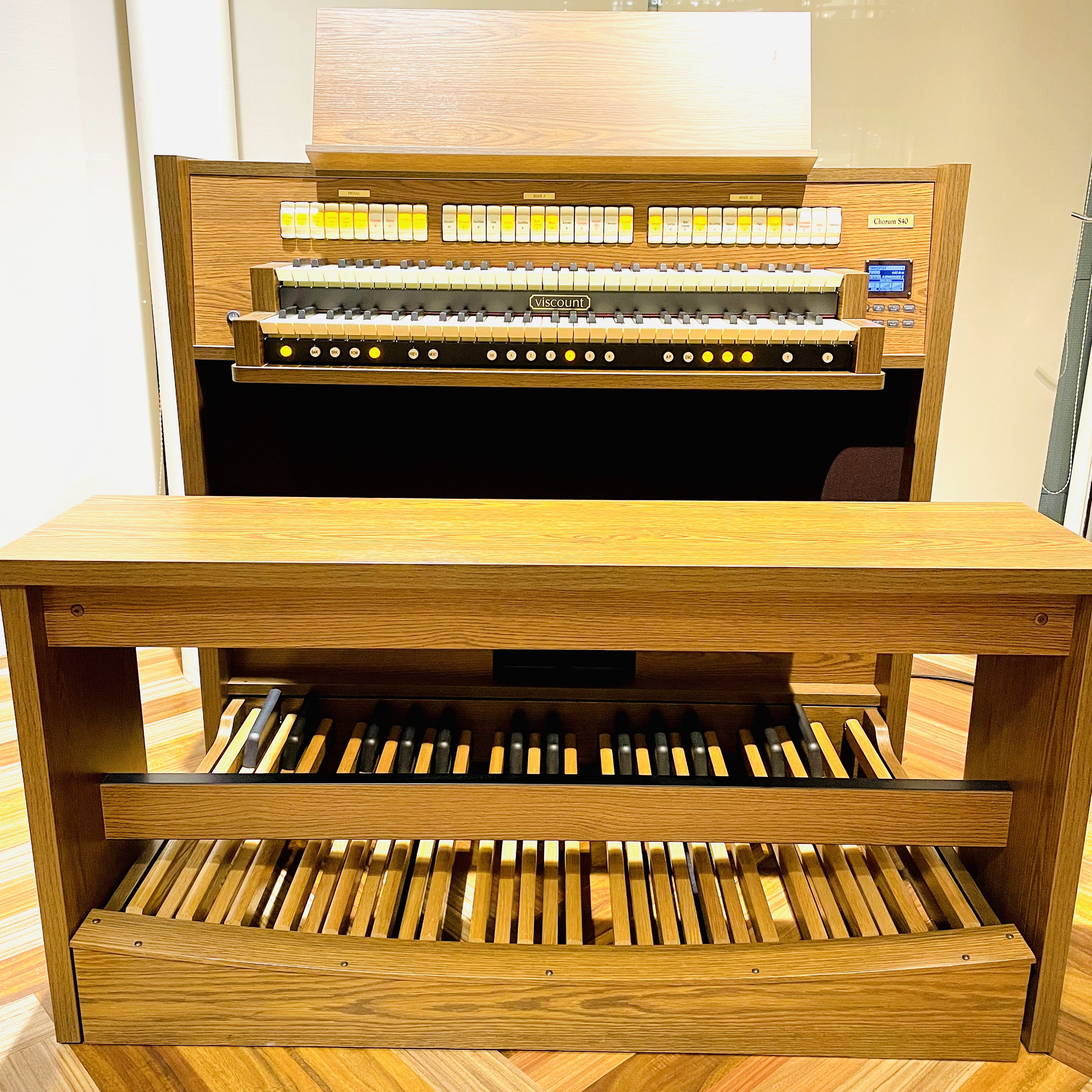 VISCOUNTChorumS40/DO(ダークオーク)