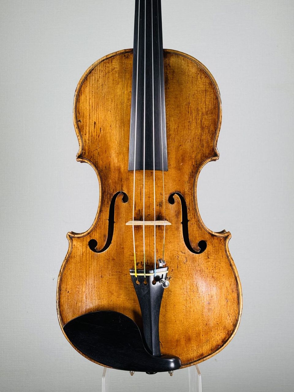 ImportStrings(インポートストリングス)Michael Boller/1759