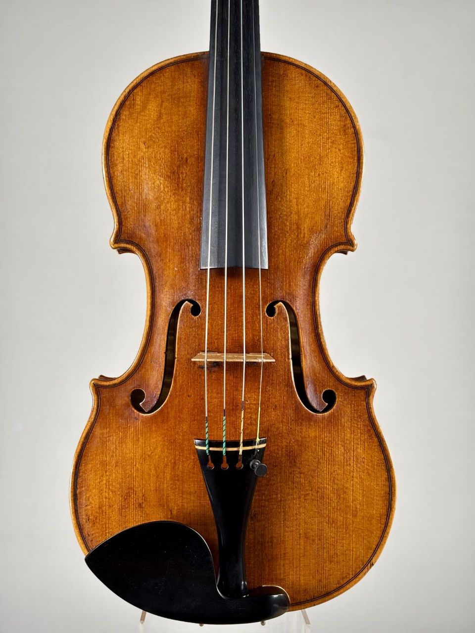 ImportStrings（インポートストリングス）G.Montenegro/2025