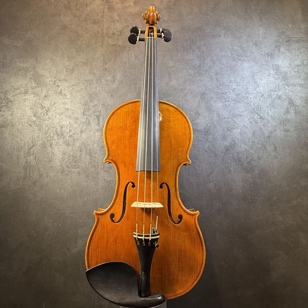 ImportStrings（インポートストリングス）M.Bellei w/s 2025d