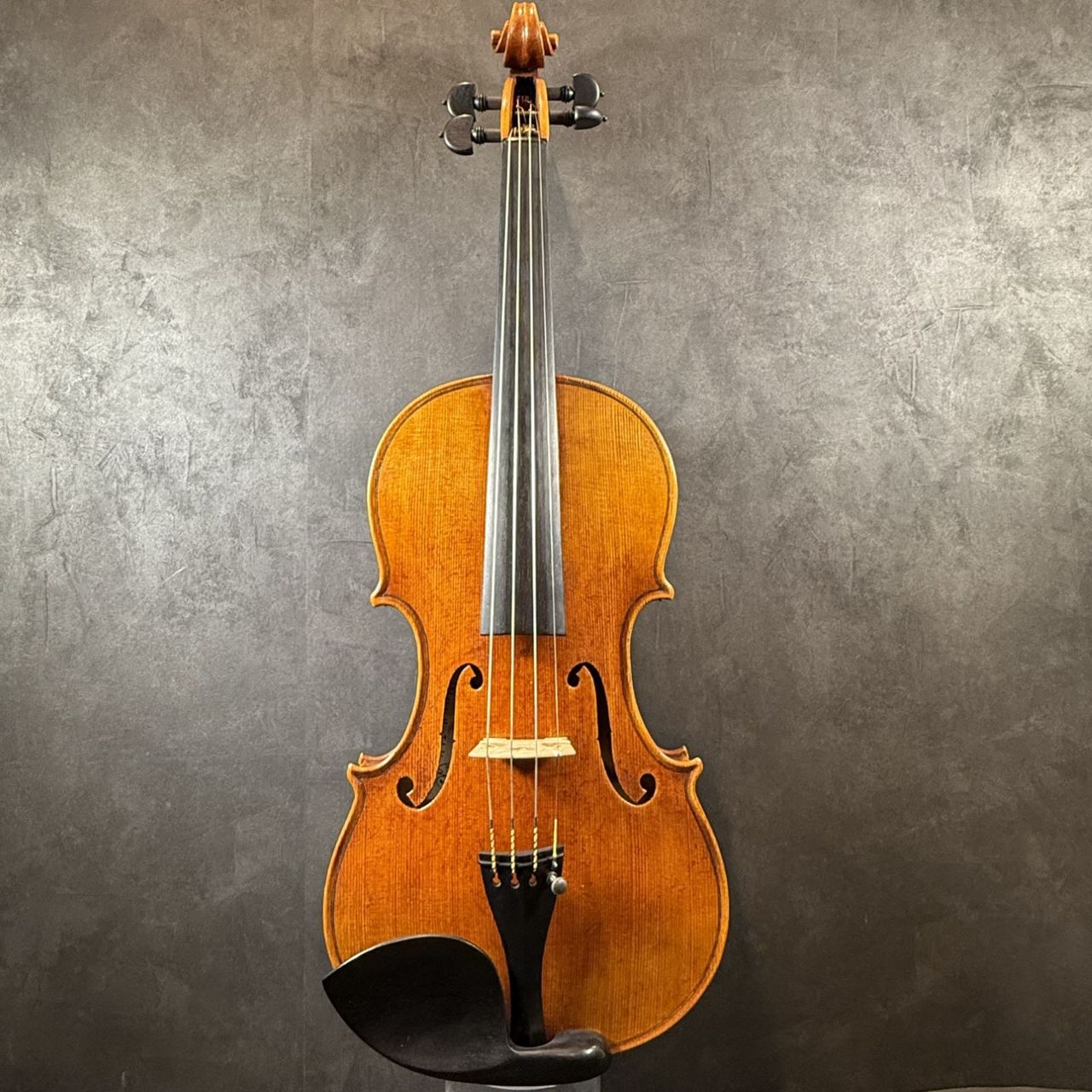 ImportStrings（インポートストリングス）C.Becerra/2025