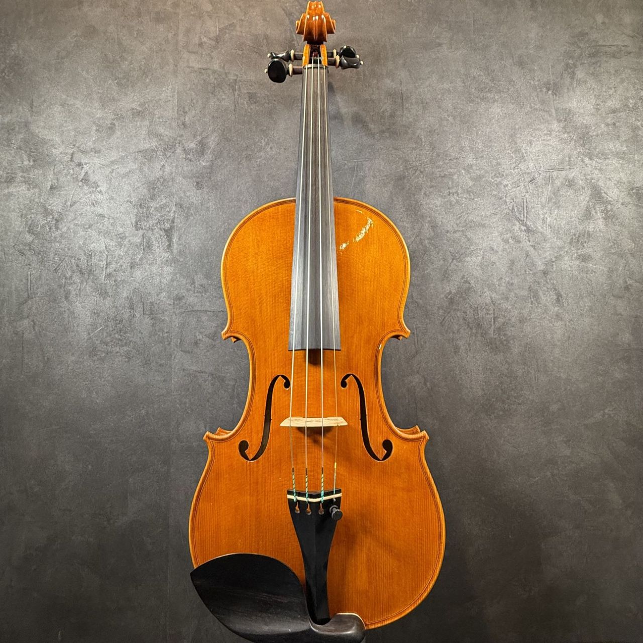 ImportStrings（インポートストリングス）G.Scolari/2023