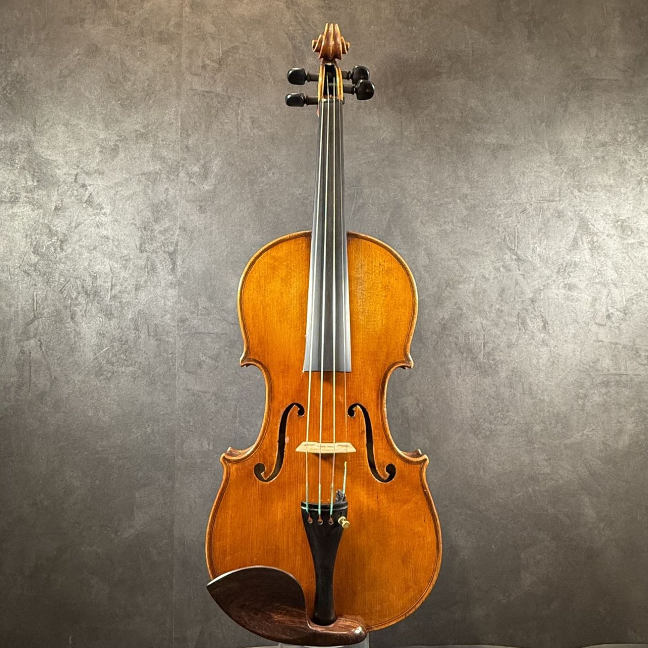 ImportStrings（インポートストリングス）Wien School/1900