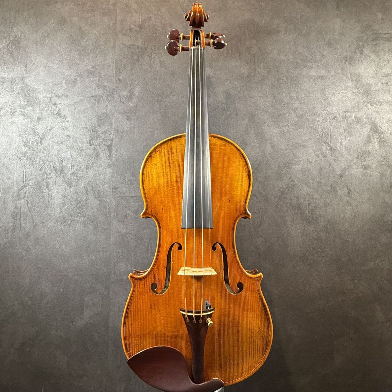 ImportStrings（インポートストリングス）M.Schudtz/2026