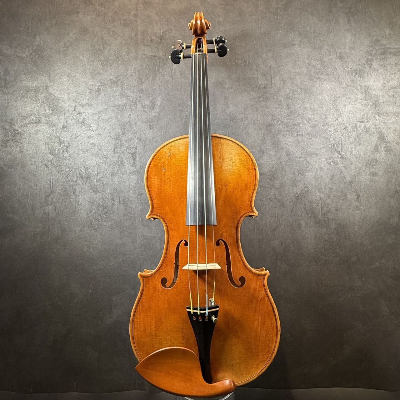 安孫子康二（アビコ・コウジ）KojiAbiko/Vn/Amati/2026