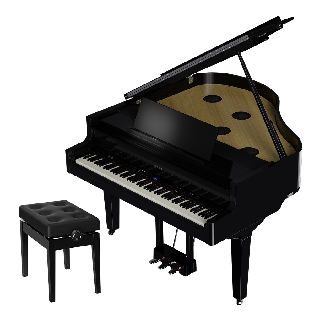 Roland(ローランド)GP-6/GP-9/GP-9M