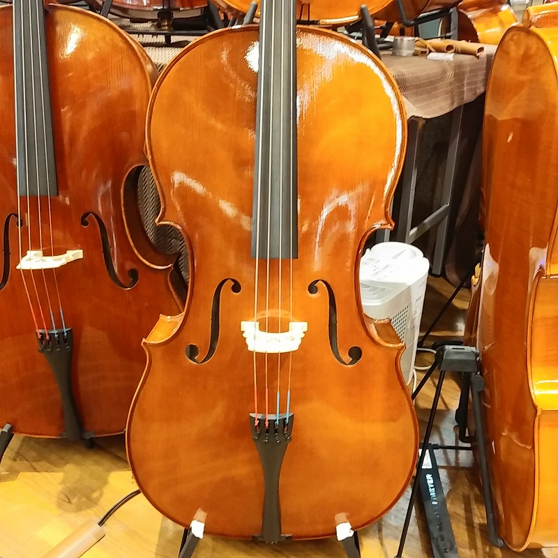 Roderich Paesold(ローデリヒ・ペゾルト)PA601 German