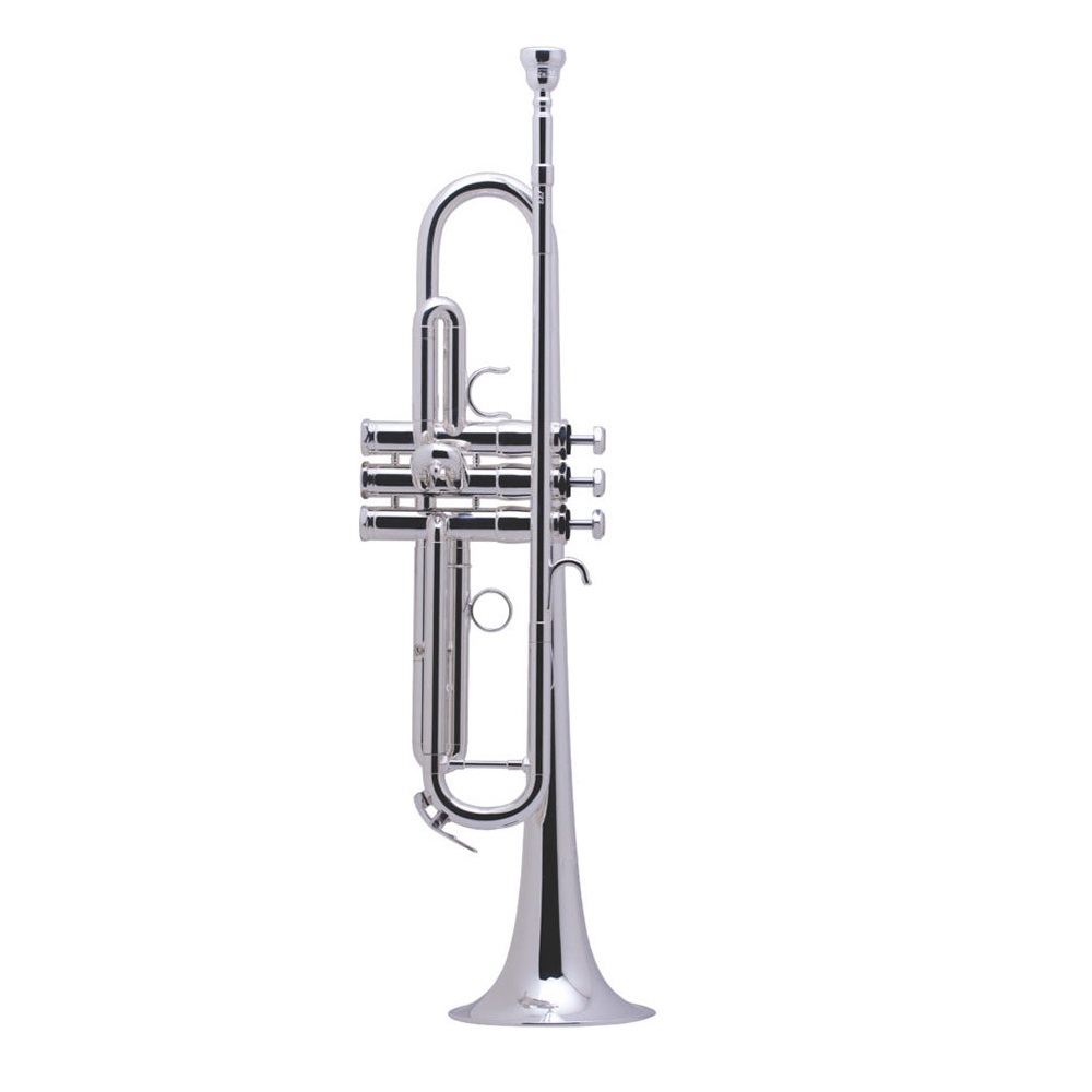 Schilke(シルキー)i33SP