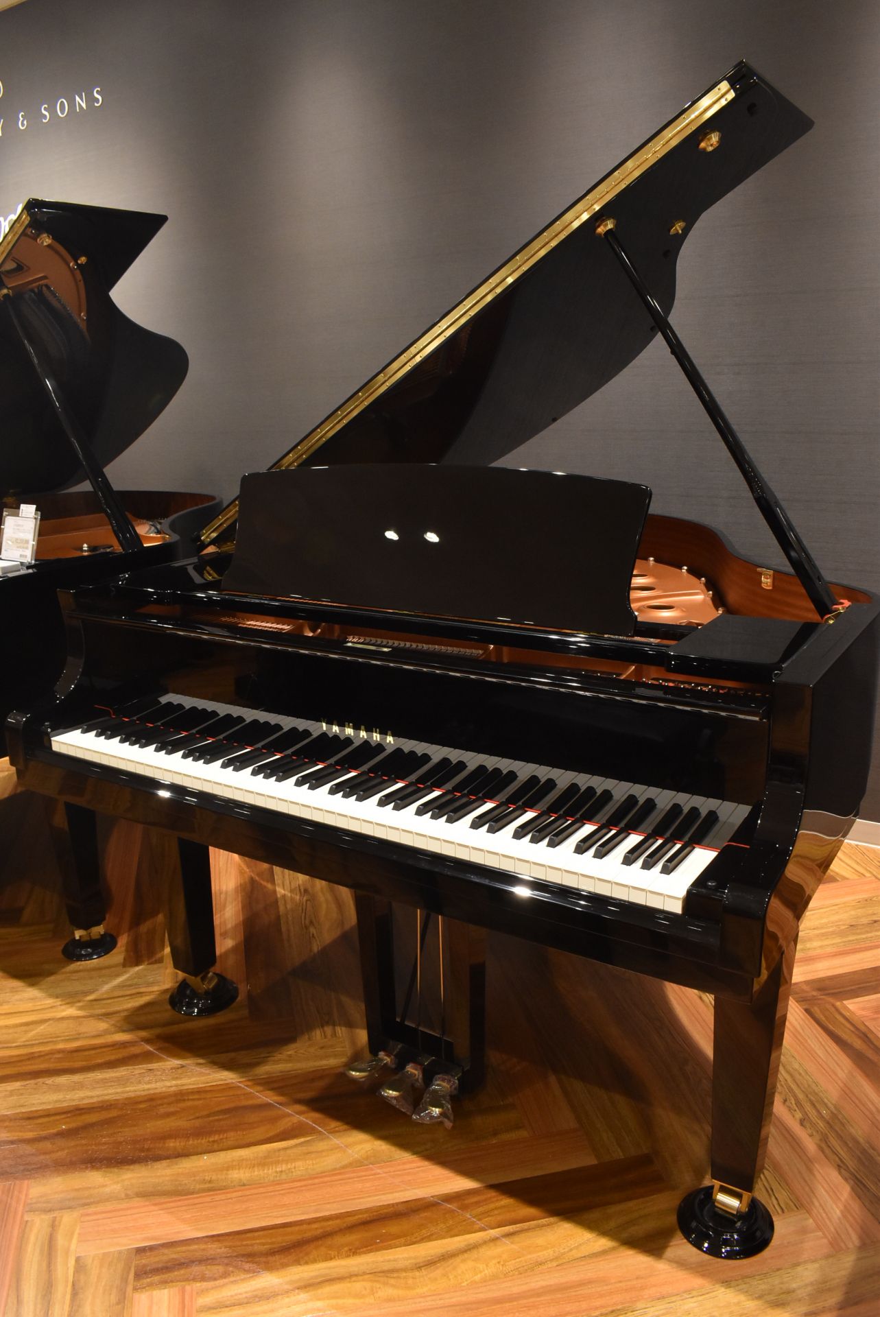 YAMAHA（ヤマハ）C1X（中古）