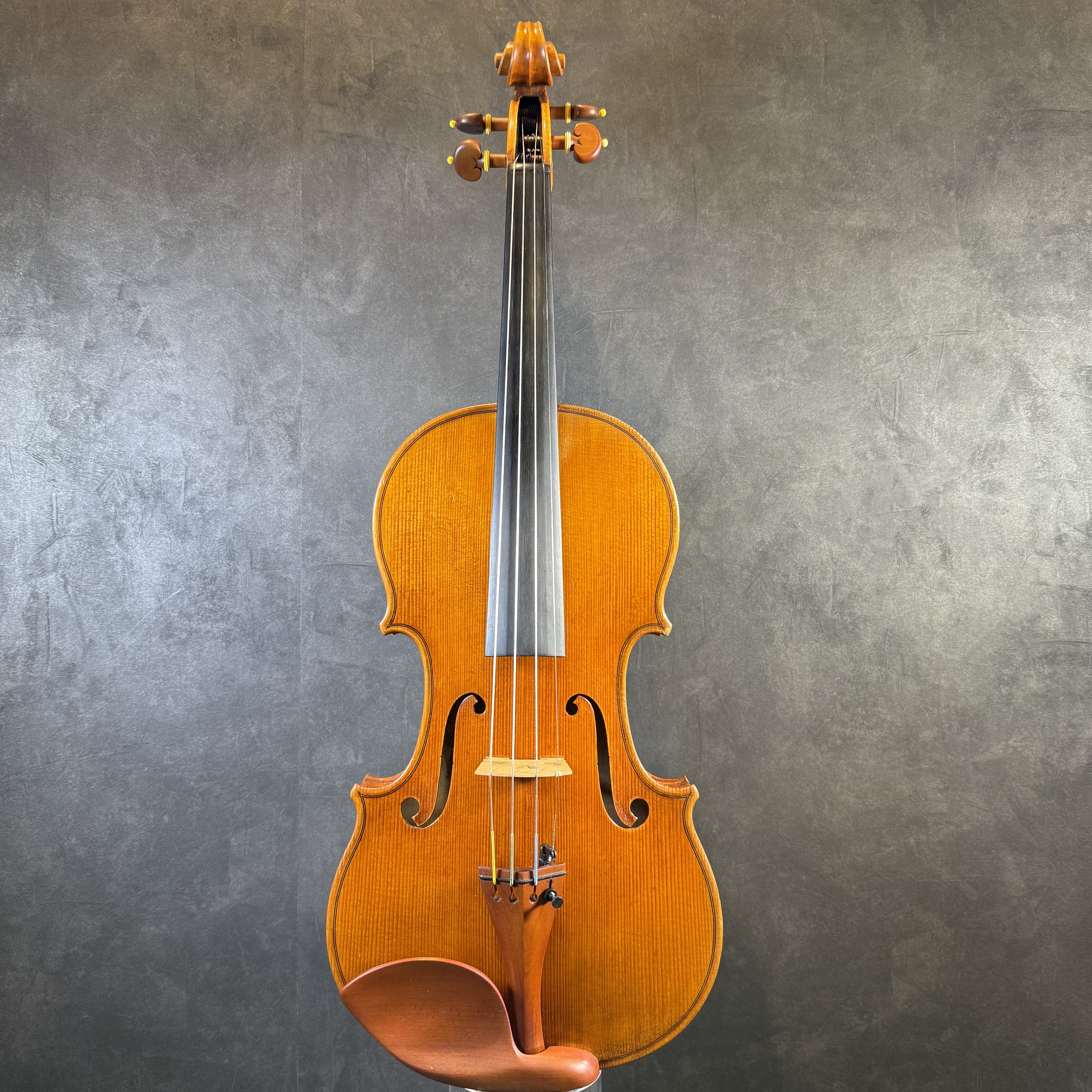PygmaliusDX-120