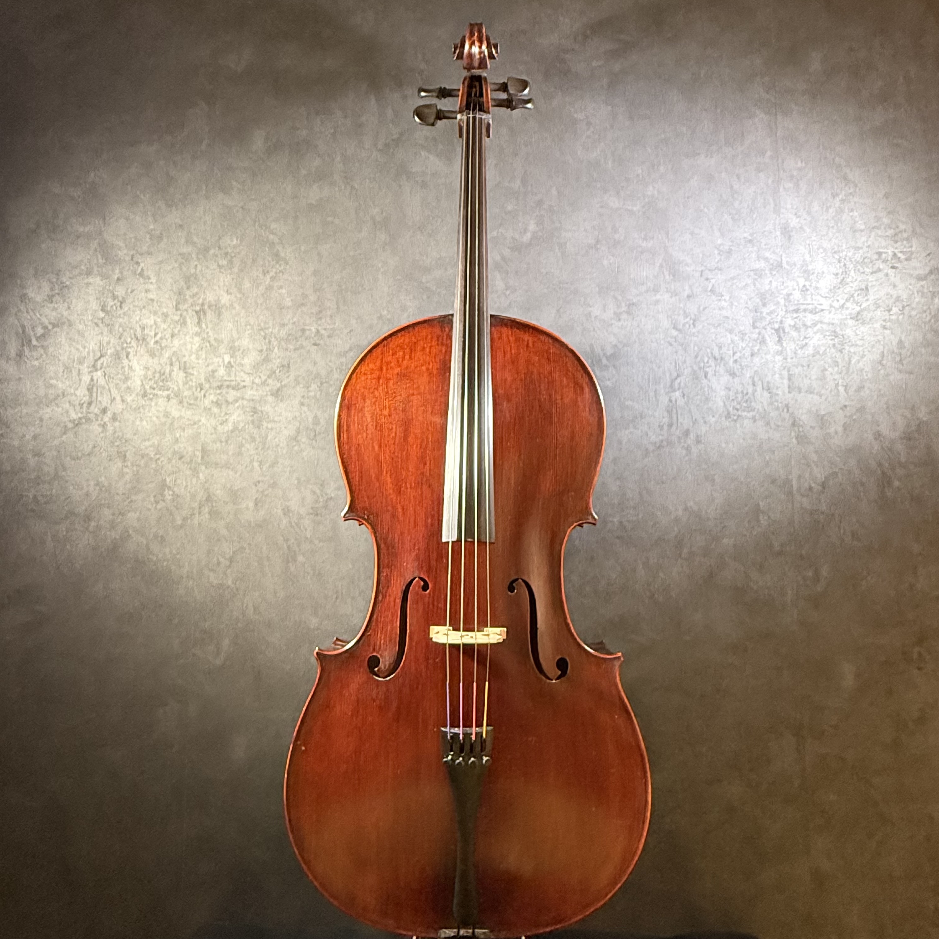 EASTMAN(イーストマン)Vc305S