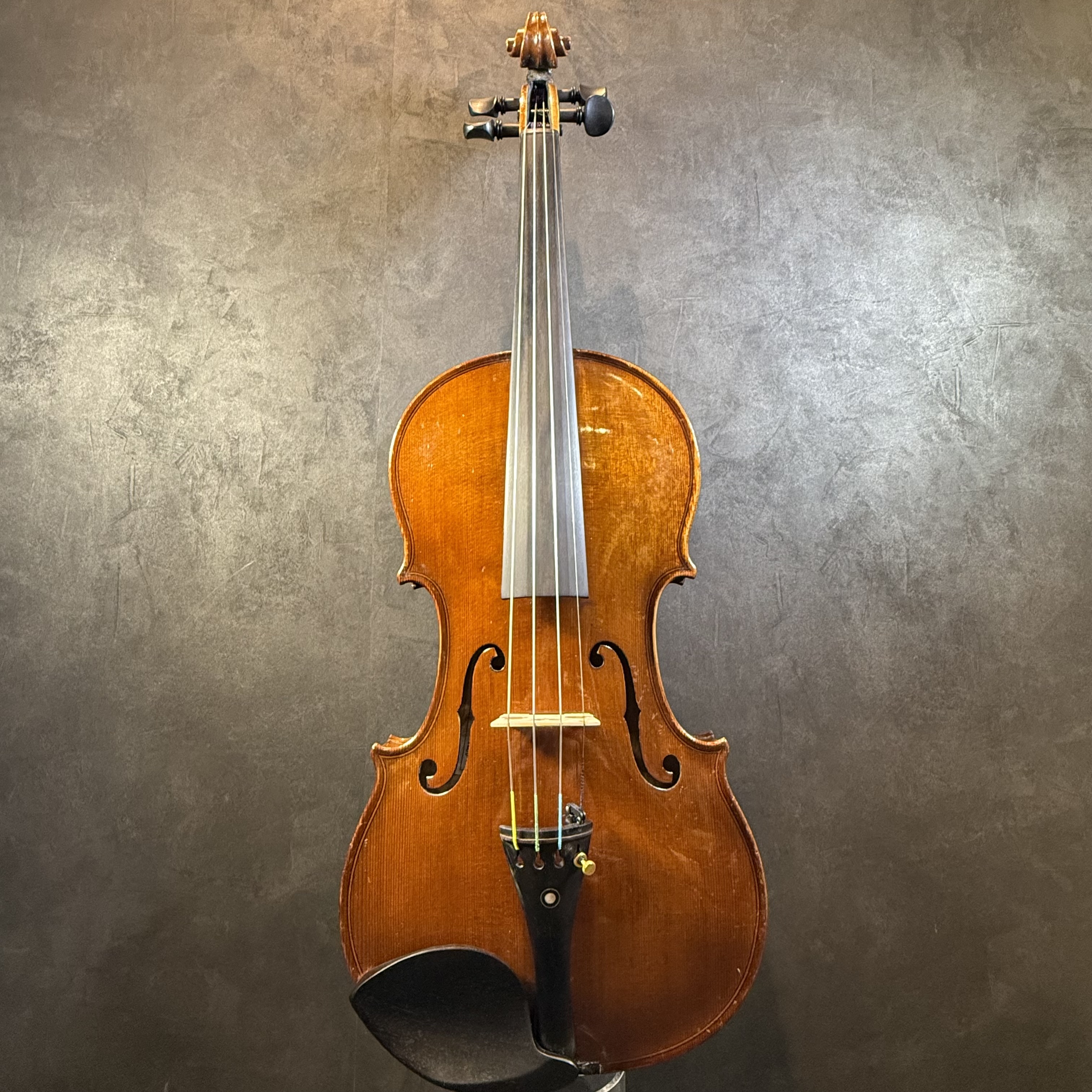 Import StringsL.Prokop/Amati ca1900