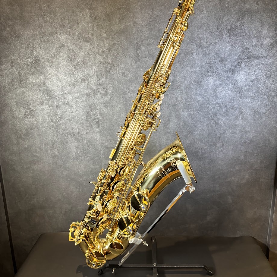 YANAGISAWA（ヤナギサワ）T-WO10