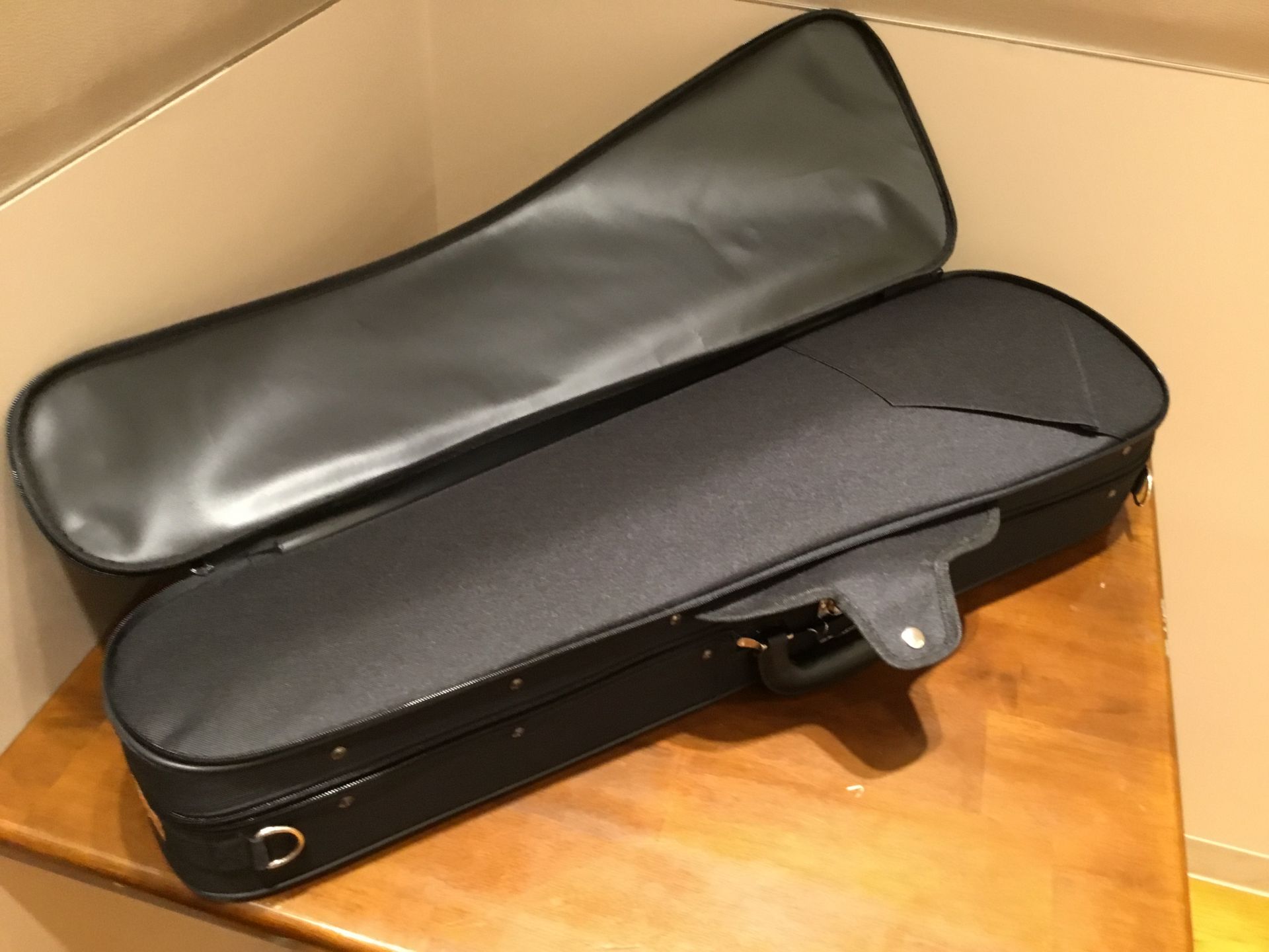Eastman VL80 Violin Outfit 4/4