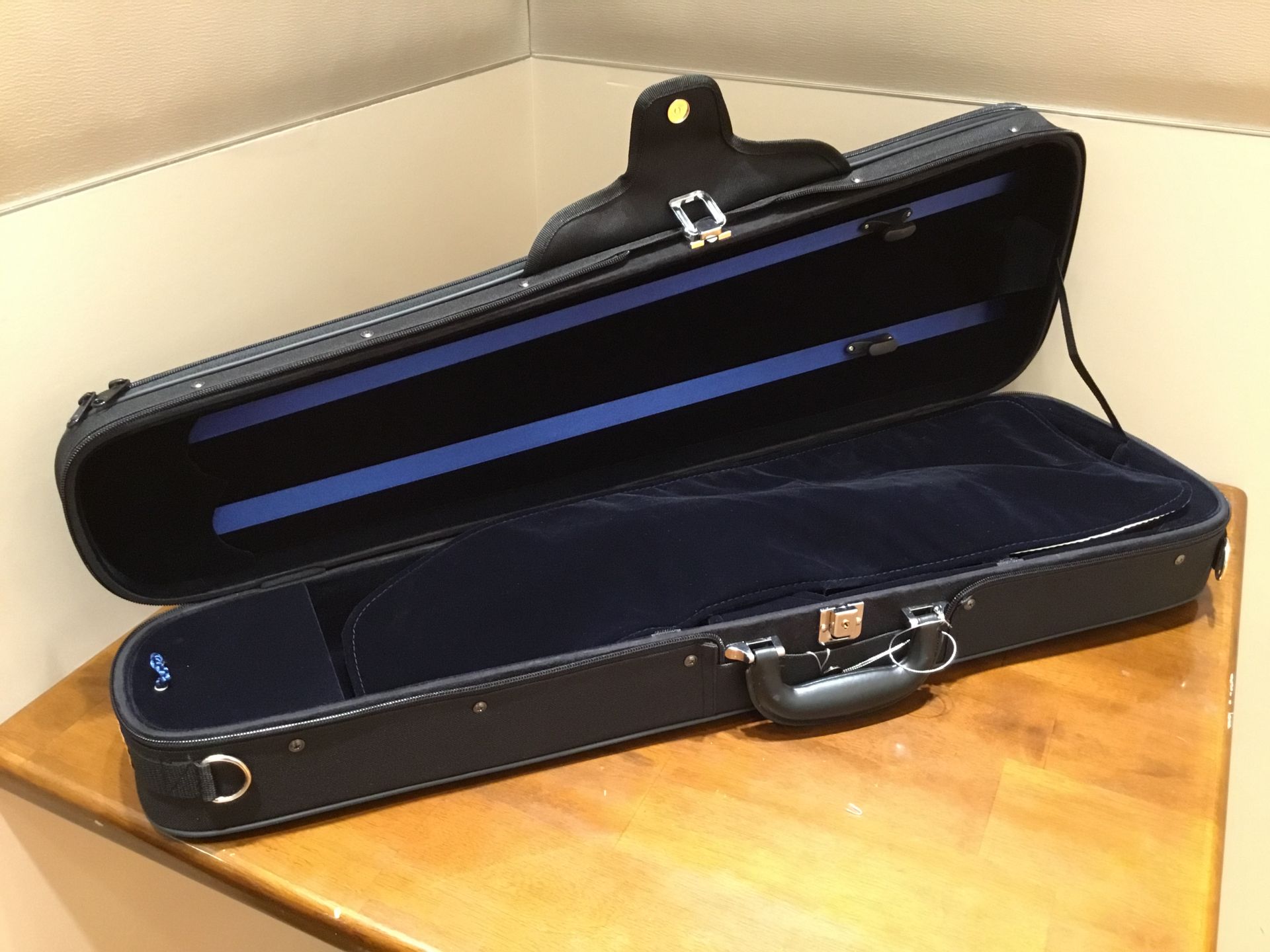 イーストマン SVL80 4/4 バイオリンセットのケースが新しくなりました！