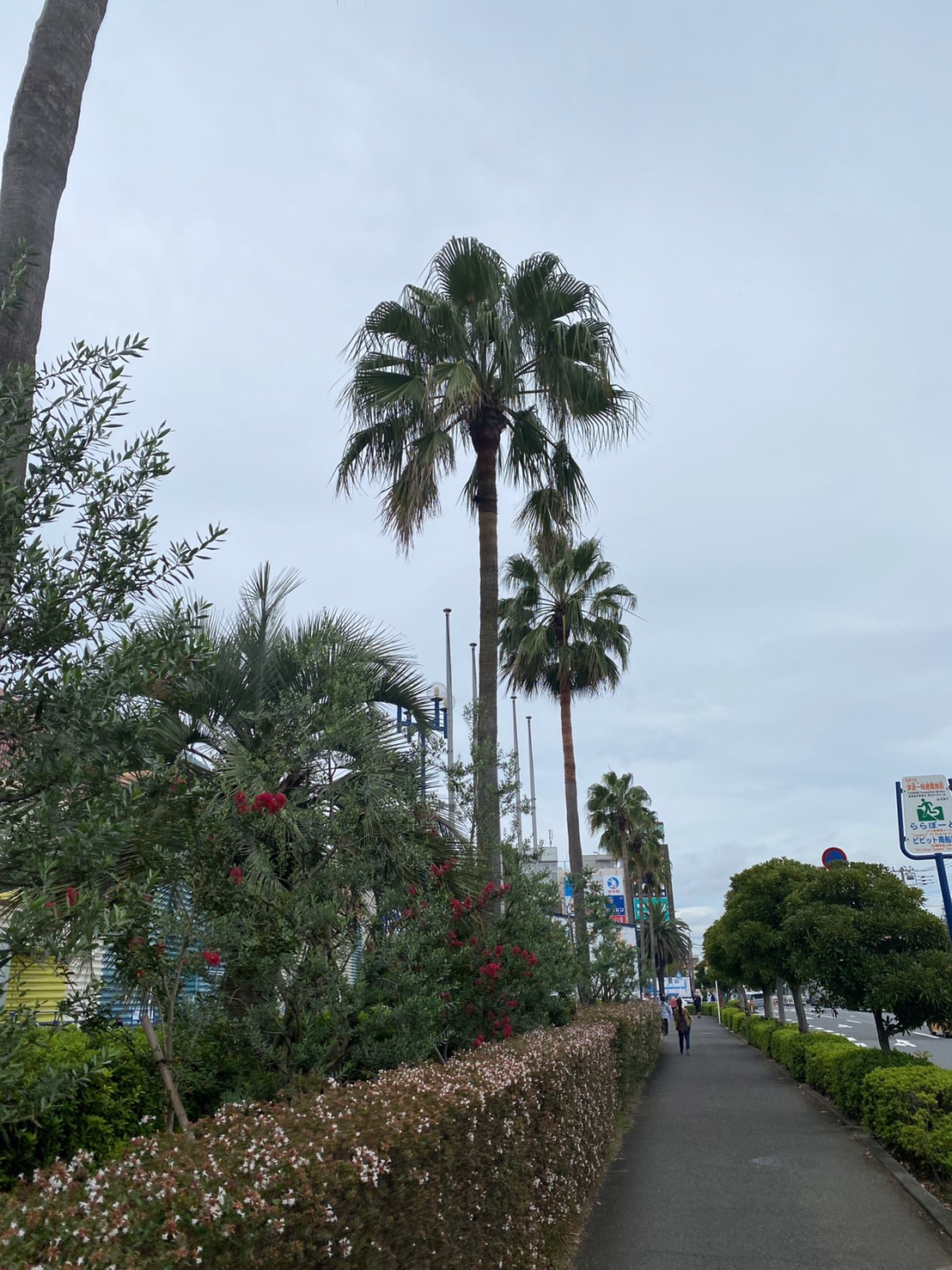 島村楽器　南船橋　ビビット　ららぽーとTOKYOBAY