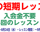 【バイオリン短期レッスン】夏の間に短期集中レベルアップ！