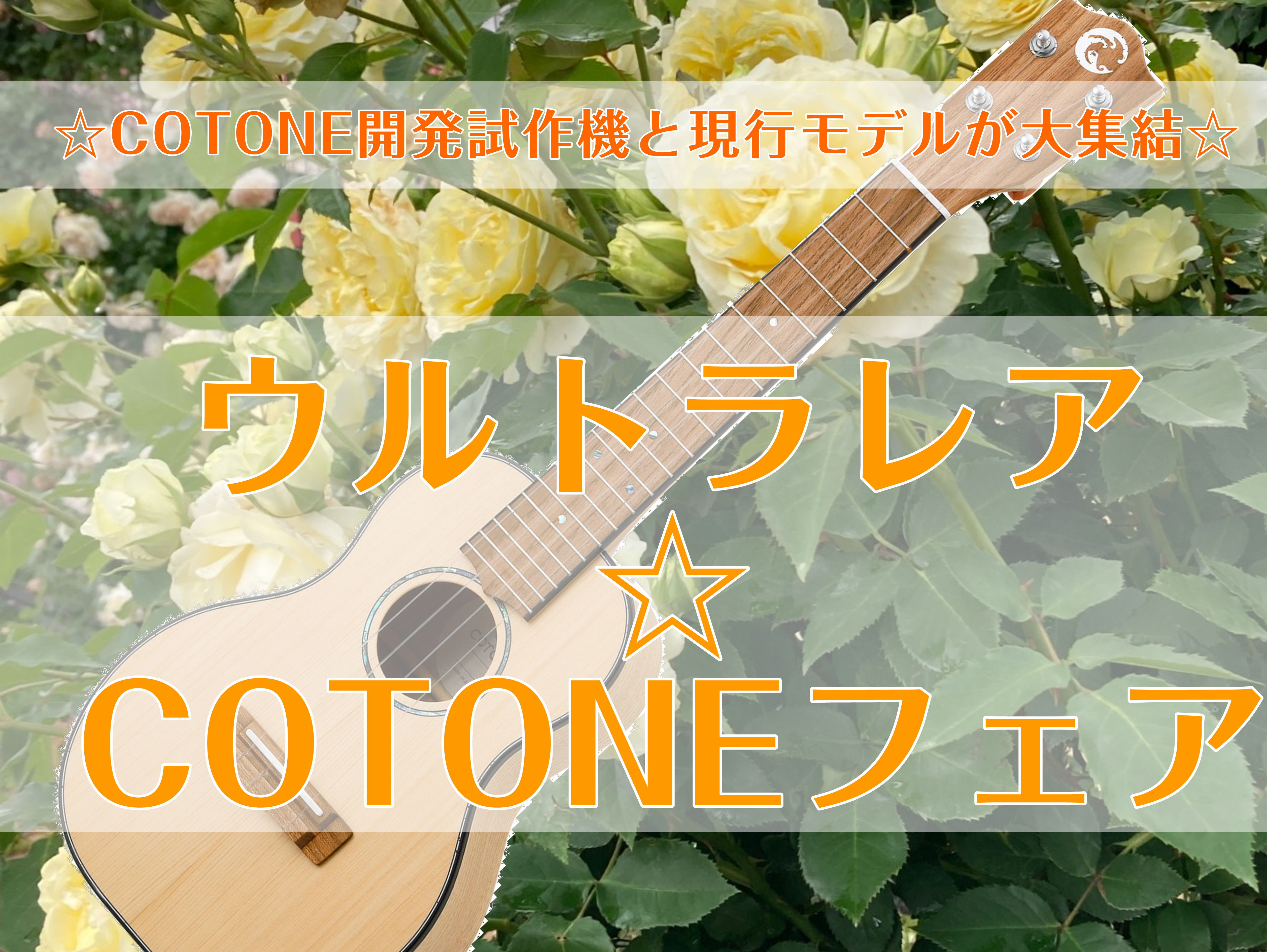 ／特別なCOTONEが南船橋店に大集結！＼