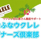 【初心者さん徹底サポート！】みなふなウクレレビギナーズ俱楽部