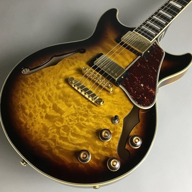 島村楽器xIbanez 独占販売モデル！Ibanez AM93QM-AYS