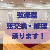 弦楽器弦交換・修理承ります！