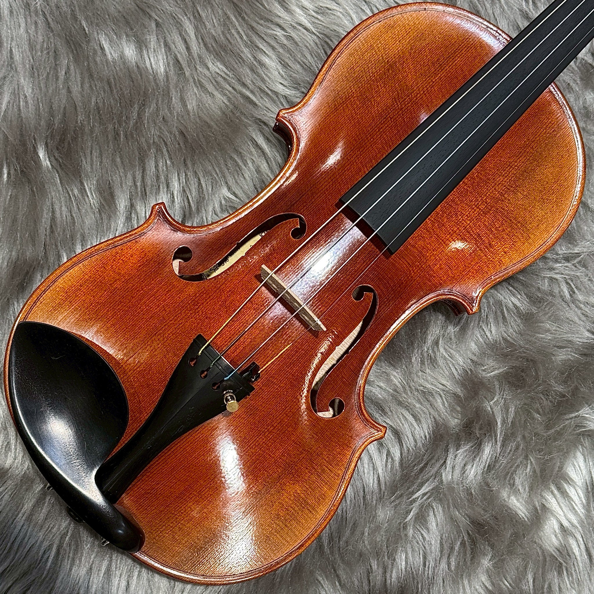 WILH.STEINBERGPS500/Brazilwood Bow